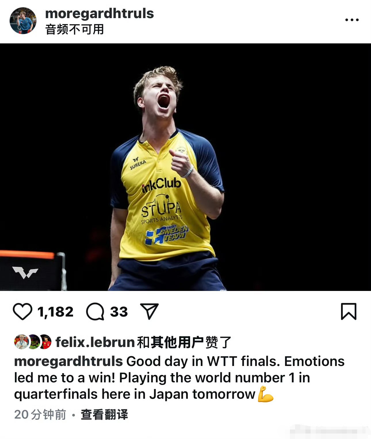 瑞典队球迷在社交媒体上分享球队的热情