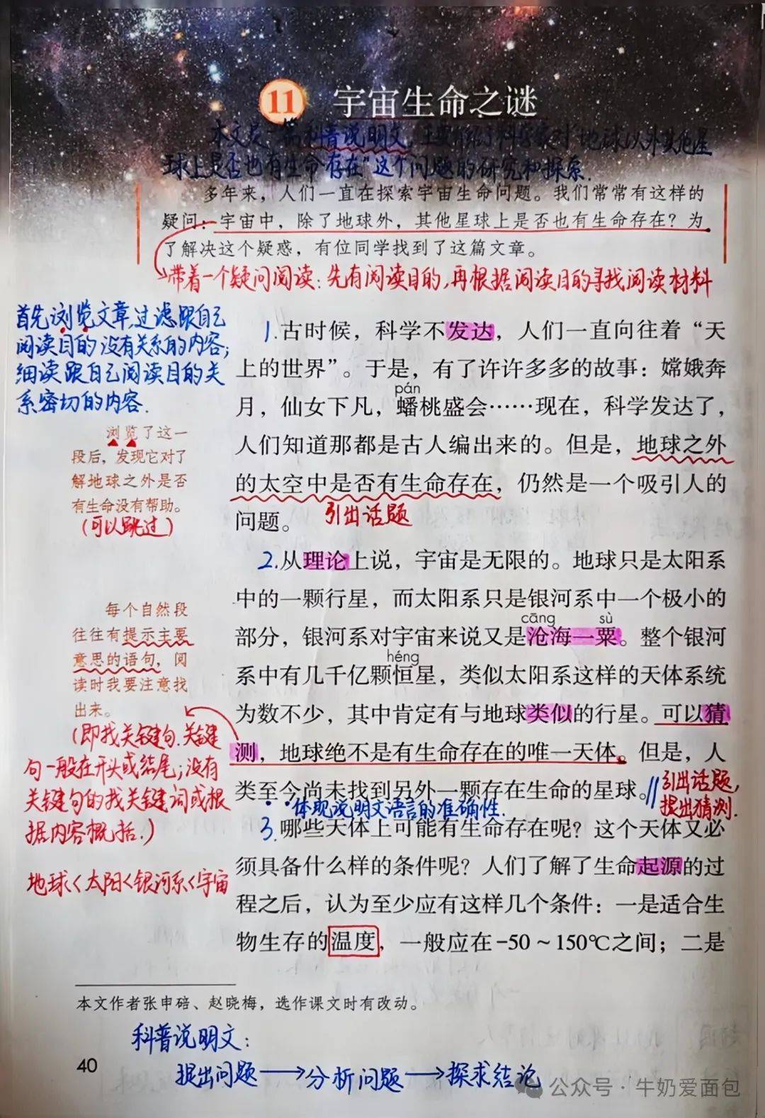 拜仁传射建功，泰山新星横空出世，场边球探频频记笔记的简单介绍